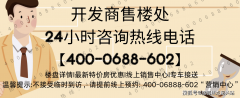 <b>地面交通依托九龙大道、大道（规划中）、（规</b>
