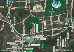 <b>让您用专业目光去买</b>